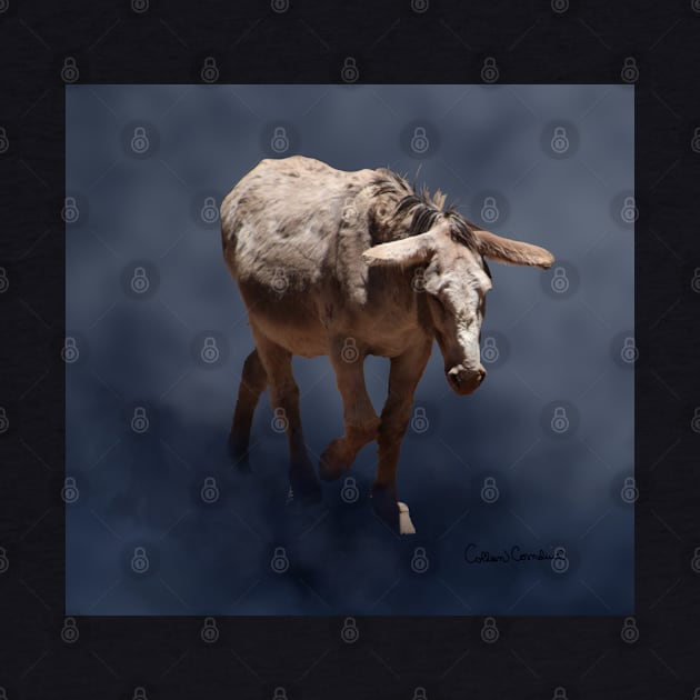 Mule on Smokey Gray Background by ButterflyInTheAttic